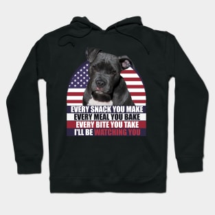 Black Pitbull Dog With American Flag Sarcastic Saying Hoodie